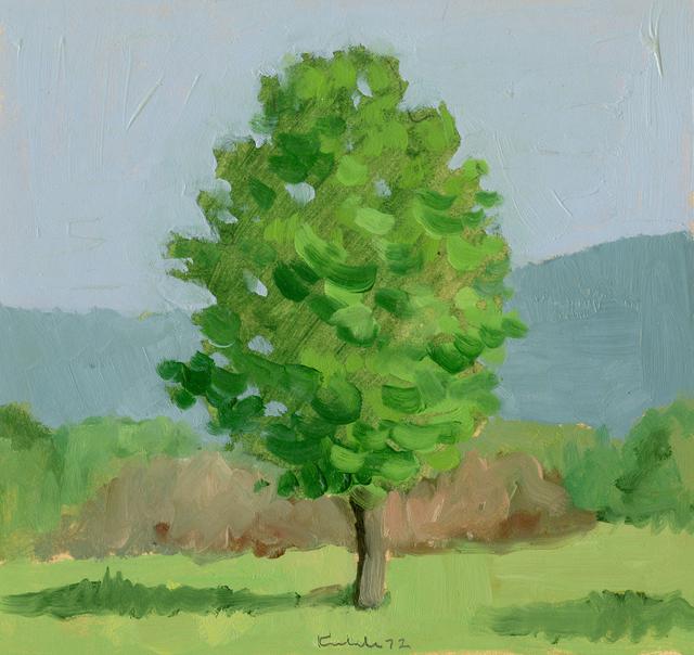 Single tree with green leaves on grass in front of blue and brown hills