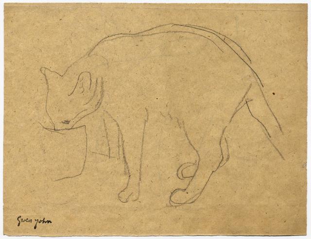 Cat with arched back bending down