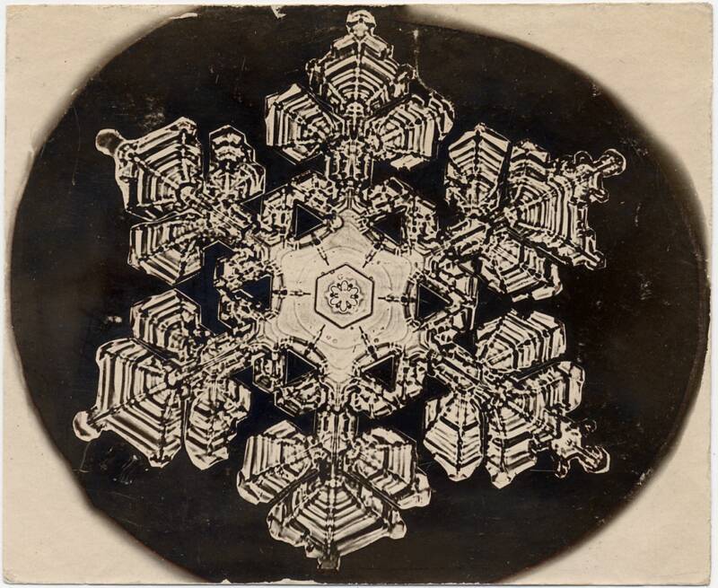 Snowflake with six distanct segments with intricate patterns in black oval