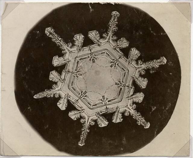 Snowflake at center of black circle