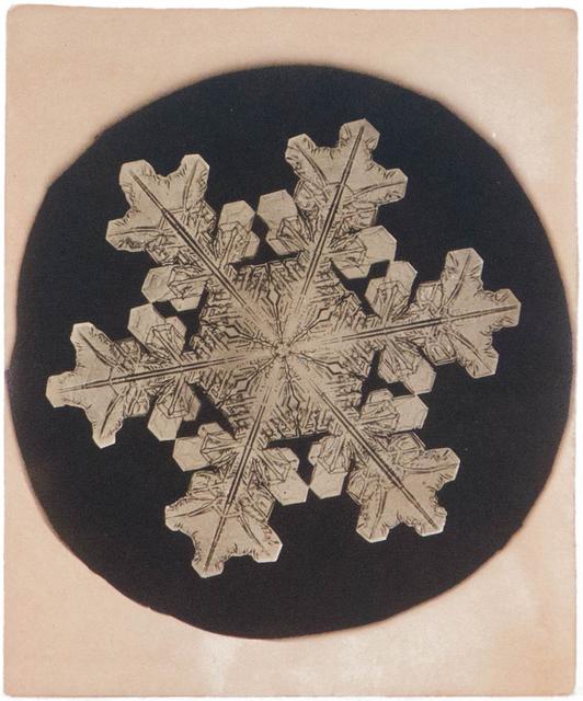 Snowflak with six segments in black circle on tan paper