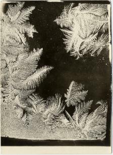 Block of frost in L-shape from top left to bottom right, smaller block of frost at top right