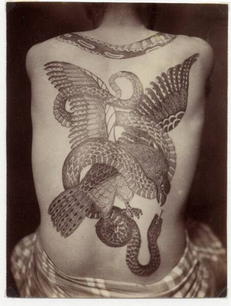 Back with large tatoo of birds and snakes