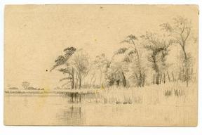 River with grassy bank and trees
