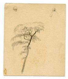 Single tree with leaves on tan paper