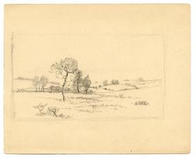Landscape with low hills and trees