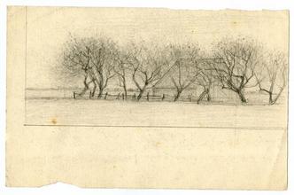 LAndscape with wooden house and barren trees in flat field
