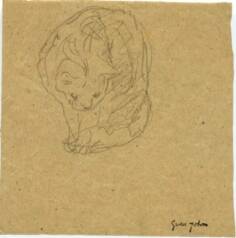 Seated cat bending down and looking at floor on tan paper
