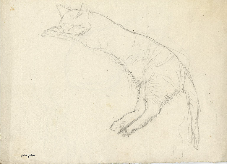 Cat sleeping, streytched out diagonall