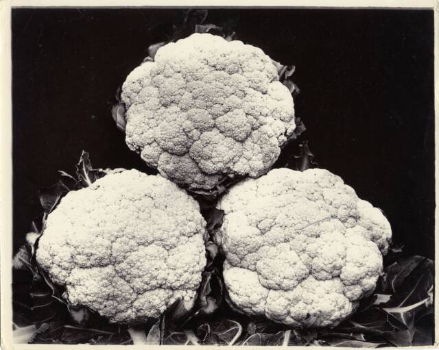 Three heads of cauliflower or broccoli, stacked two at bottom and one on top