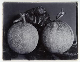 Two melons with stems pointing up on table