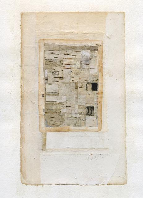 Abstract collage with rectangle of birch pieces
