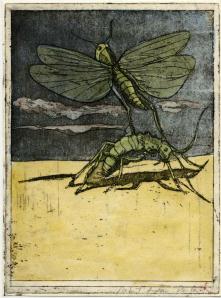Winged bug above crawling bug on yellow ground