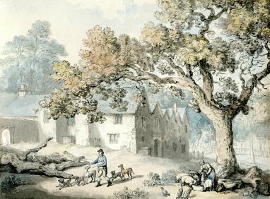 White stone buildings with large tree at right with two figures in foreground with group of dogs