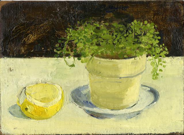 Cut lemon next to fern in yellow pot on light blue saucer on light yellow table