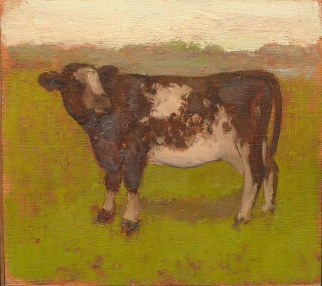 Black and white cow facing left, with head turned right, in grassy landscape