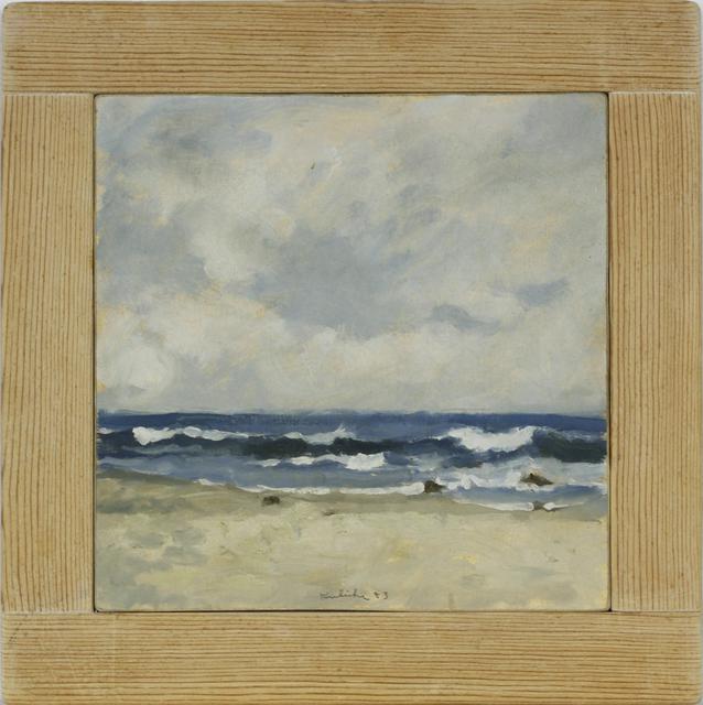 Sesascape with waves, cloudy sky and beach