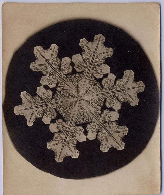 Snowflake with six points on black circle on tan paper