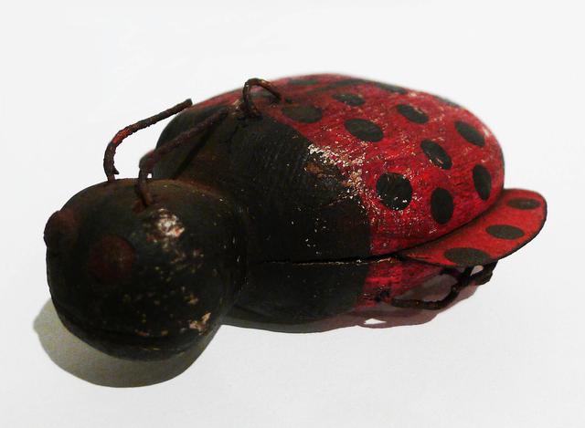 Wooden ladybug on white ground facing bottom left