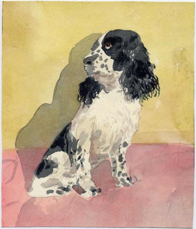 Black and white dog looking left on pink cushion in front of yellow wall