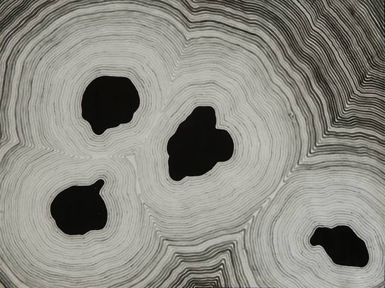 Abstract black and white tree ring shapes with four black blobs in each lighter circle