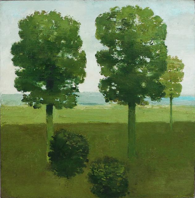 Two trees parallel with tree at right behind and two shrubs at bottom in grassy landscape