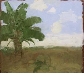 Palm tree in landscape with moon in daylight sky