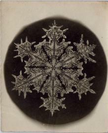 Snowflake photograph at center of black circle