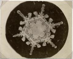 Six pointed snowflake in black circle in larger white circle