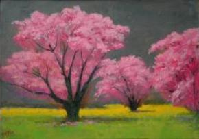 Three trees with pink blossoms on green and yellow ground