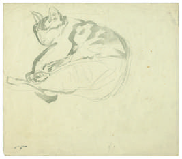 Sleeping tortoise-shell cat, curled up at upper left