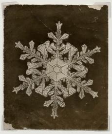 Six pointed snowflake on black paper