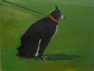 Black dog with red collar and leash on green grass