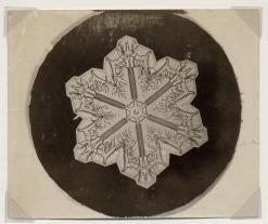 Snowflake with six segments in black circle in larger white circle